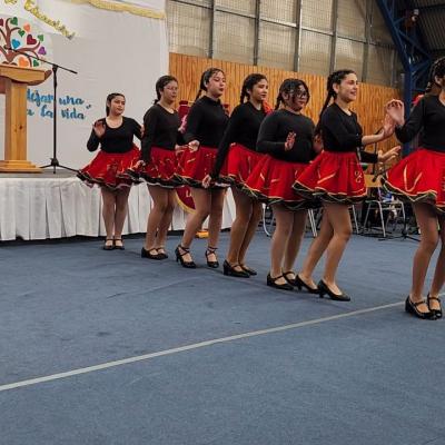 Presentaciones 5 Presentaciones 5