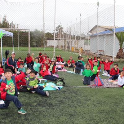 1 Ciclo Dia Actividad Fisica 19