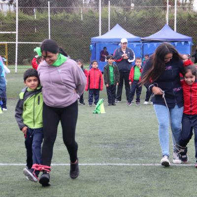 1 Ciclo Dia Actividad Fisica 20