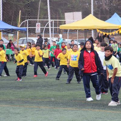 1 Ciclo Dia Actividad Fisica 2