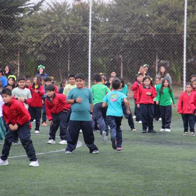 1 Ciclo Dia Actividad Fisica 3