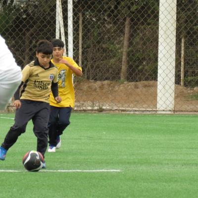 2 Ciclo Dia Actividad Fisica 41