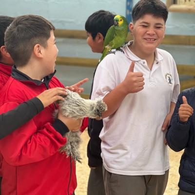 Baby Granja 17