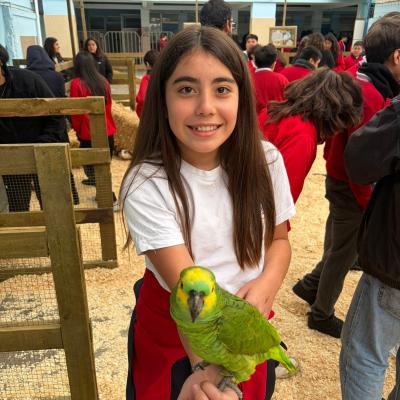 Baby Granja 23