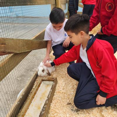 Baby Granja Sm 16