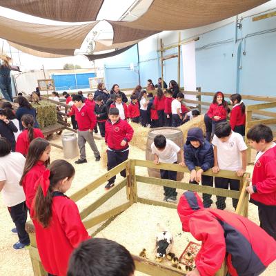 Baby Granja Sm 25