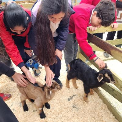 Baby Granja Sm 26