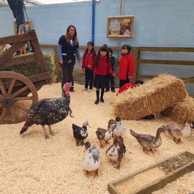 Baby Granja Sm 7