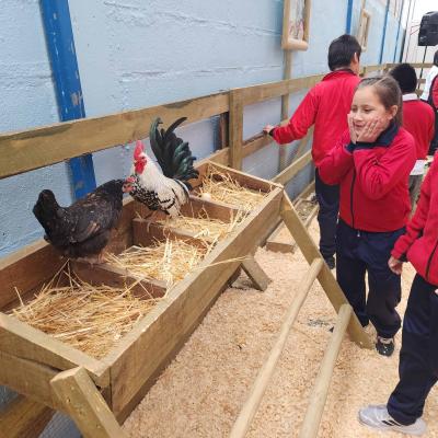 Baby Granja Sm 8