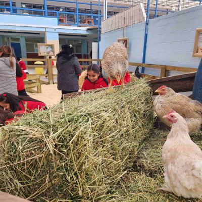 Baby Granja Sm 9