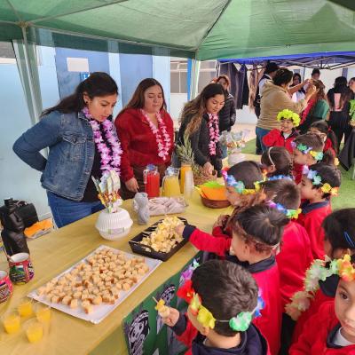 Actividad Pueblos Originarios 12
