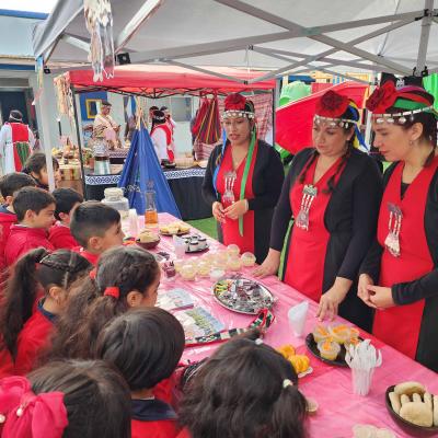 Actividad Pueblos Originarios 13