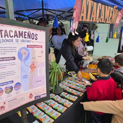 Actividad Pueblos Originarios 14