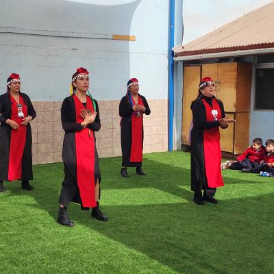 Actividad Pueblos Originarios 15