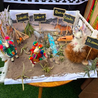 Actividad Pueblos Originarios 1